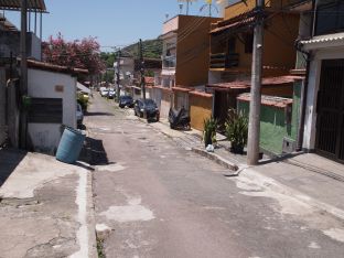 Vistoria de vizinhança